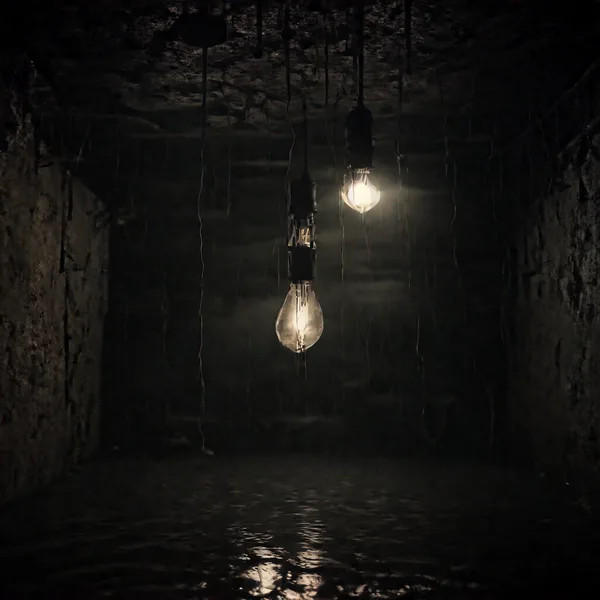 Bender Flux Flooded Basement