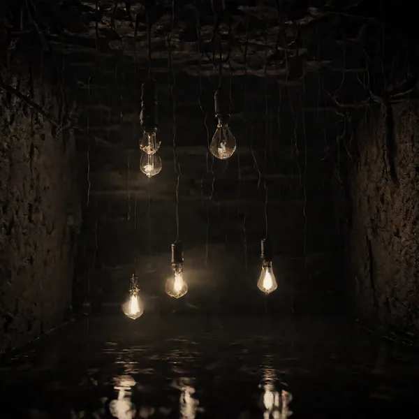 Bender Flux Flooded Basement